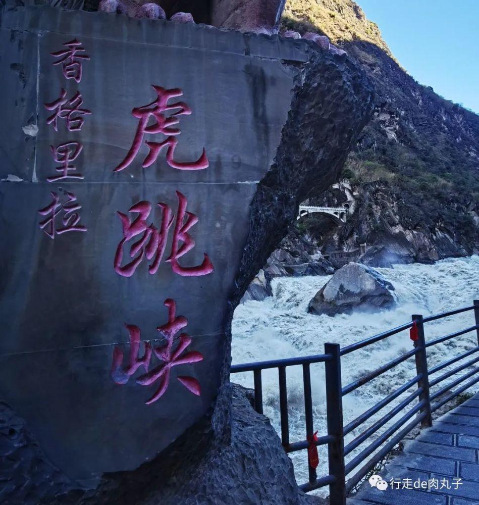 燃烧吧大脑免广告最新版